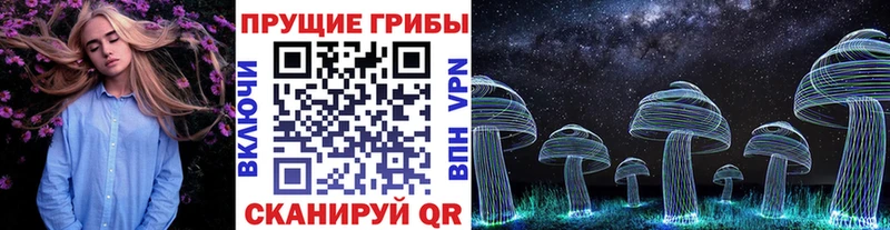 Галлюциногенные грибы Psilocybine cubensis  Купить закладки  Ершов 